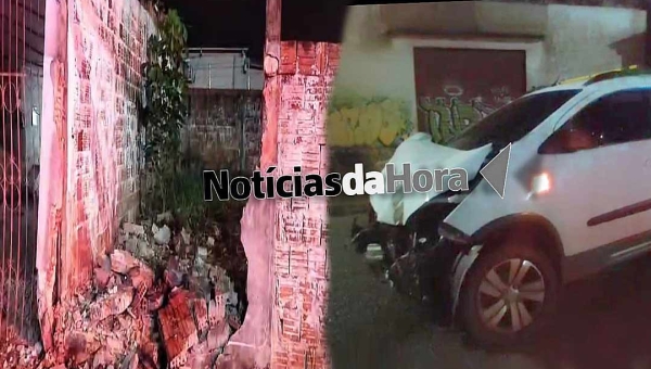 Cachorro solto em via pública causa acidente e por pouco não se tem vítima fatal