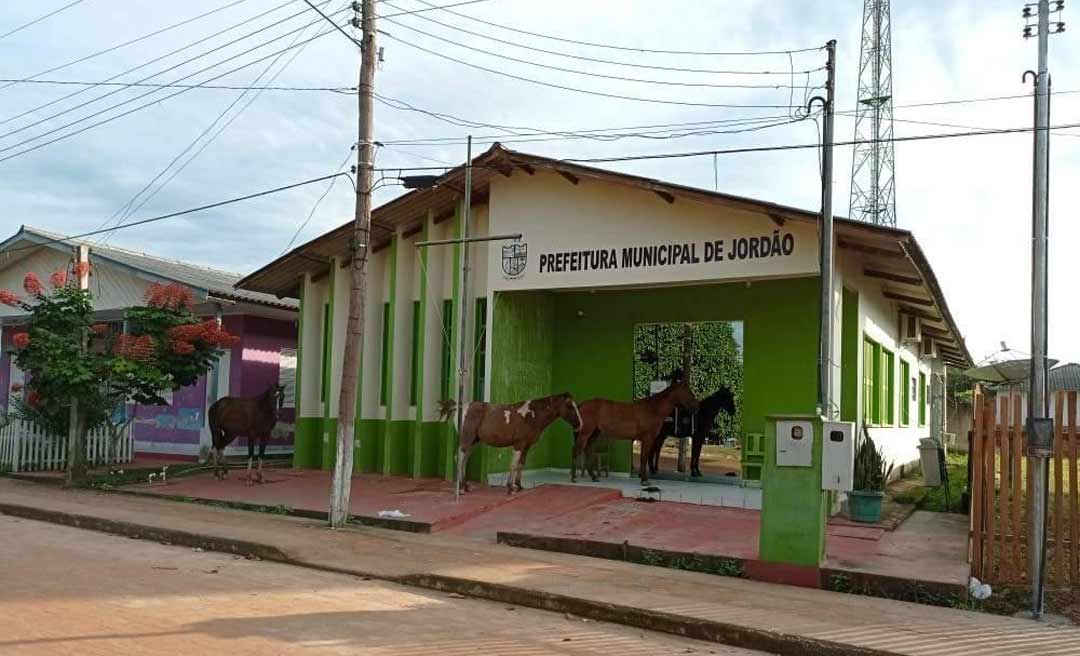 Prefeitura de Jordão abre concurso efetivo com vagas para ensino médio e superior