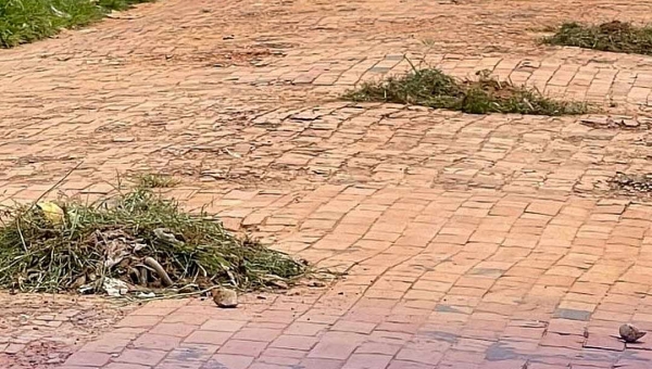 Moradores do bairro Bela Vista em Feijó tapam buracos com concreto e capim misturado com barro