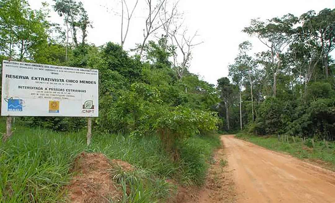 PF prende homem em flagrante por crime ambiental na Reserva Chico Mendes