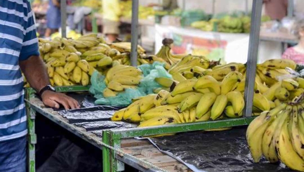 Banana lidera produção no Acre, revela pesquisa nacional