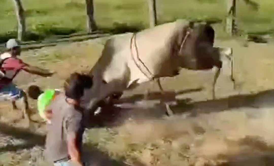 Peão cai de touro, é pisoteado e tem pescoço perfurado após chifrada em fazenda de Xapuri