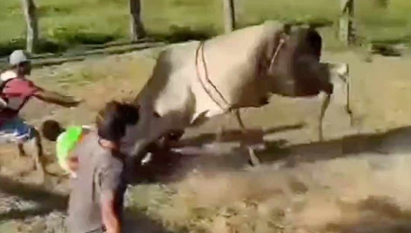 Peão cai de touro, é pisoteado e tem pescoço perfurado após chifrada em fazenda de Xapuri