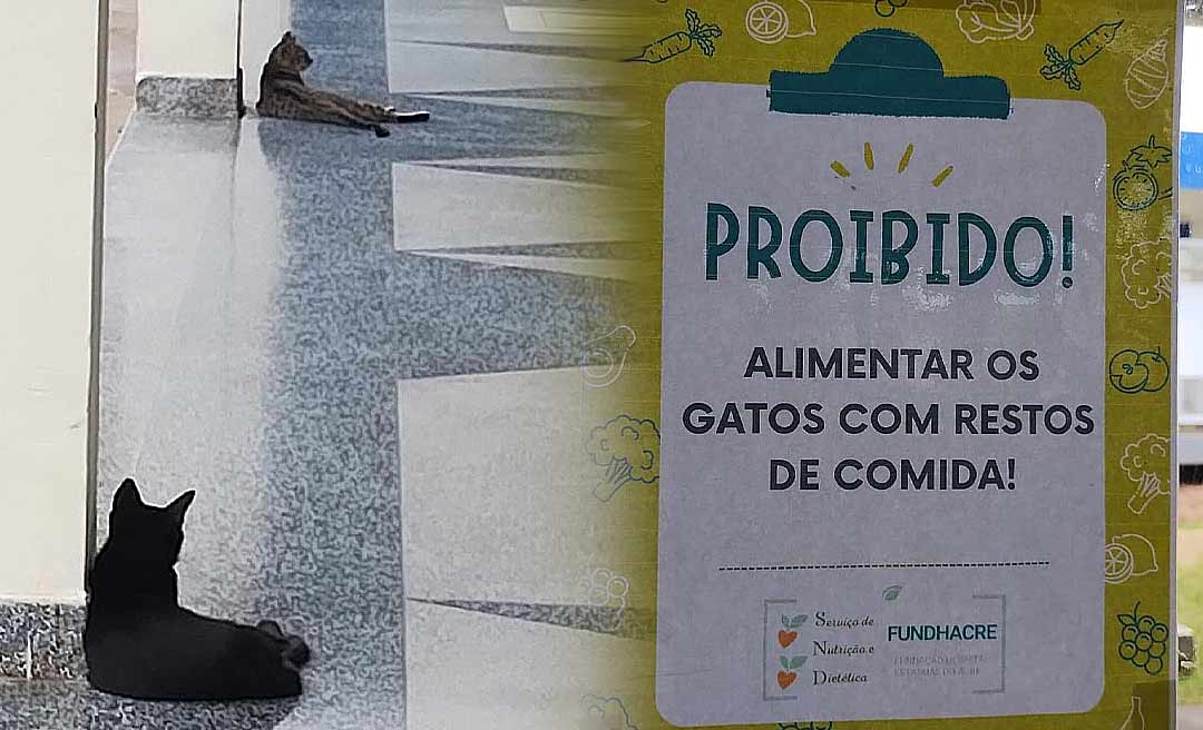 Cartaz avisando que está proibido alimentar gatos com restos de comida na Fundhacre gera protesto; direção esclarece