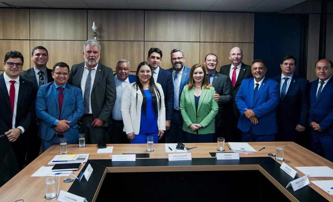 Sob coordenação de Alan Rick, Bancada do Acre e Ministério de Portos e Aeroportos unem forças para melhorar aviação no Estado