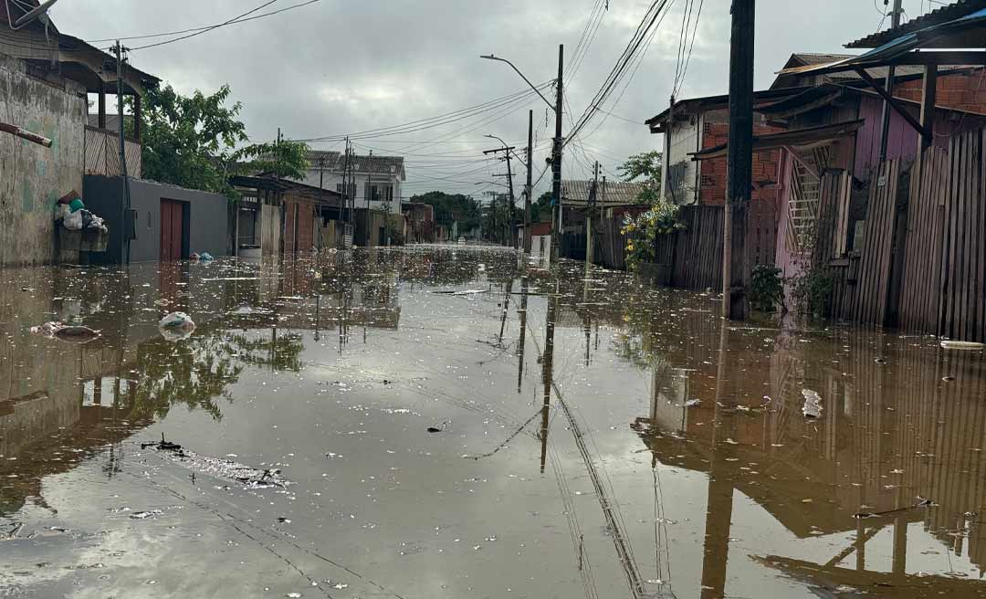 Mais de 11 mil pessoas estão desabrigadas e desalojadas pelas cheias dos rios e igarapés no Acre