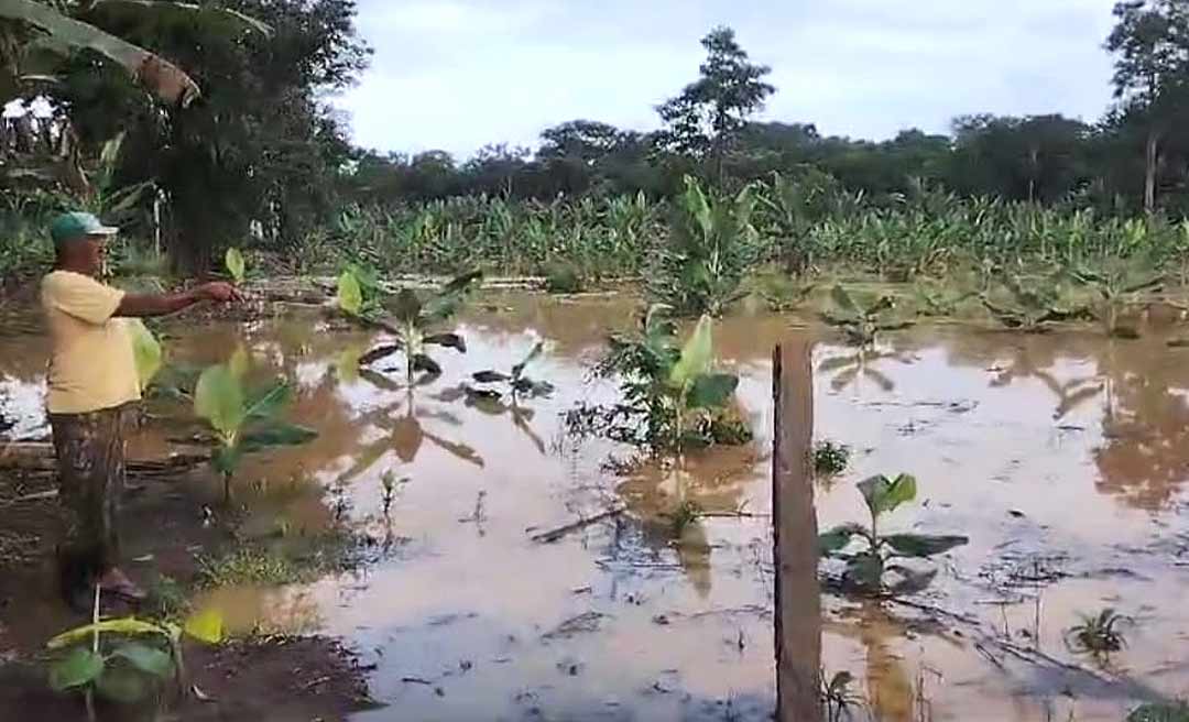 Agricultores amargam prejuízos com cheia do Rio Acre na Capital; veja o vídeo