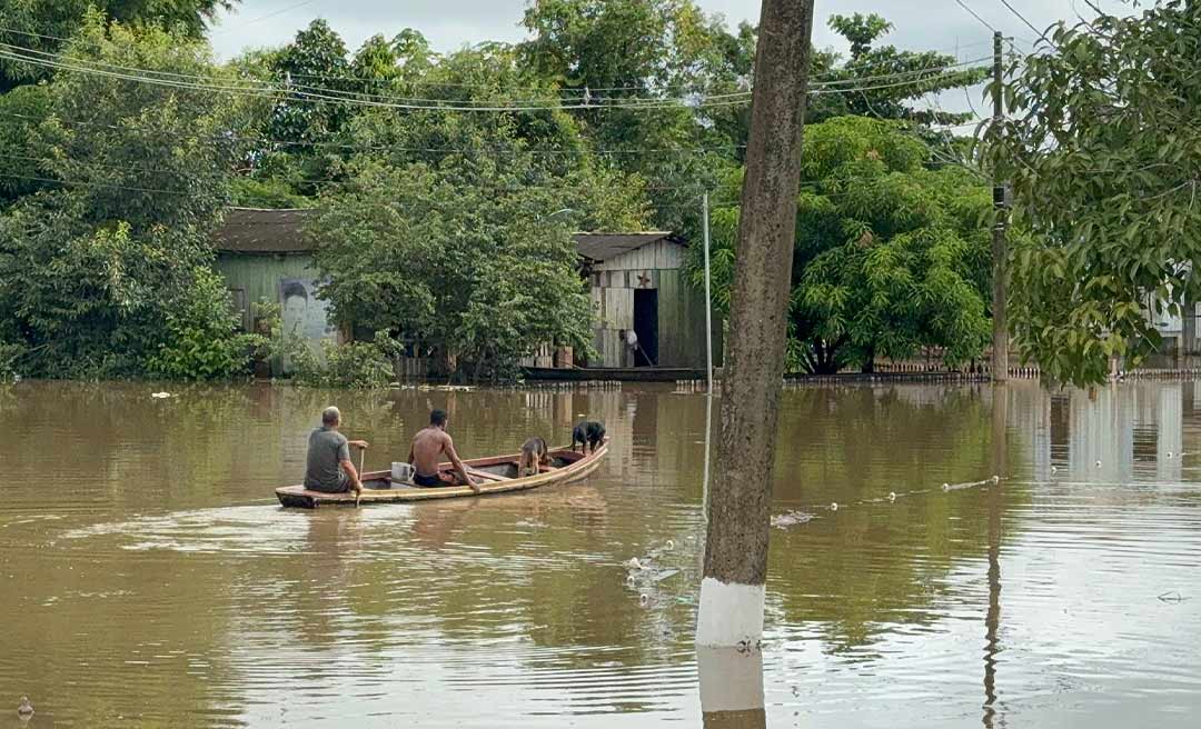 Acre tem mais de 14 mil pessoas fora de casa por causa das enchentes e 62 abrigos atendendo famílias