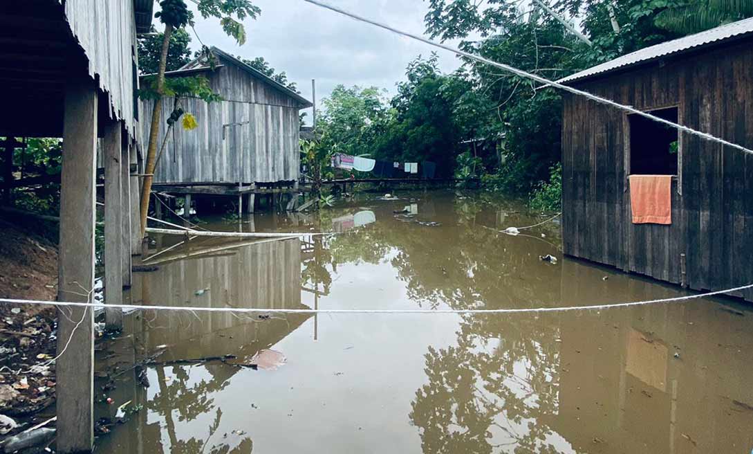 Enchente do Rio Envira, em Feijó, já desabriga famílias, atingindo quatro bairros