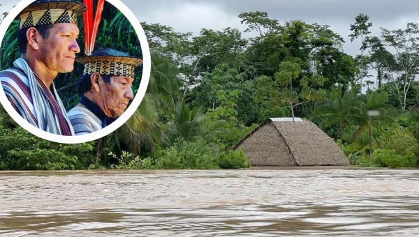 Enchente do Amônia gera insegurança alimentar na terra dos ashaninkas