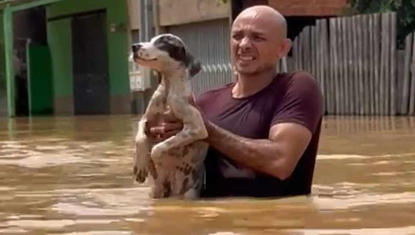 Ativista resgata cachorro abandonado em rua alagada de Rio Branco