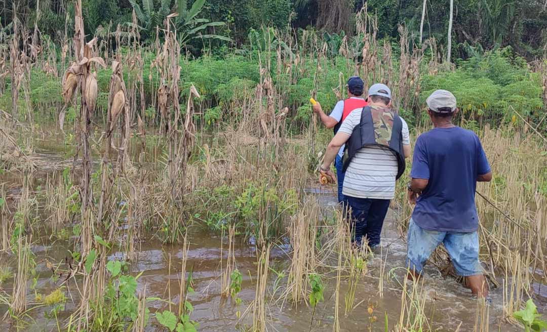 Cheia do Rio Acre: prejuízo na zona rural da Capital pode ultrapassar os R$ 100 milhões