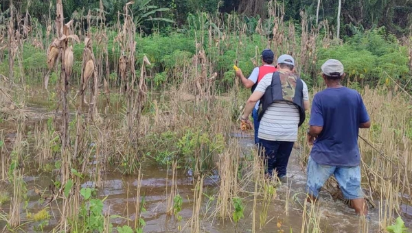 Cheia do Rio Acre: prejuízo na zona rural da Capital pode ultrapassar os R$ 100 milhões