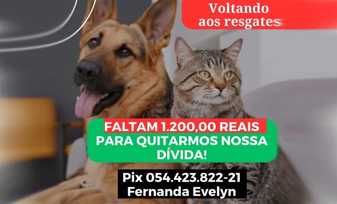 Projeto que resgata animais abandonados na Capital pede ajuda para manter atividades