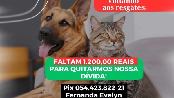 Projeto que resgata animais abandonados na Capital pede ajuda para manter atividades