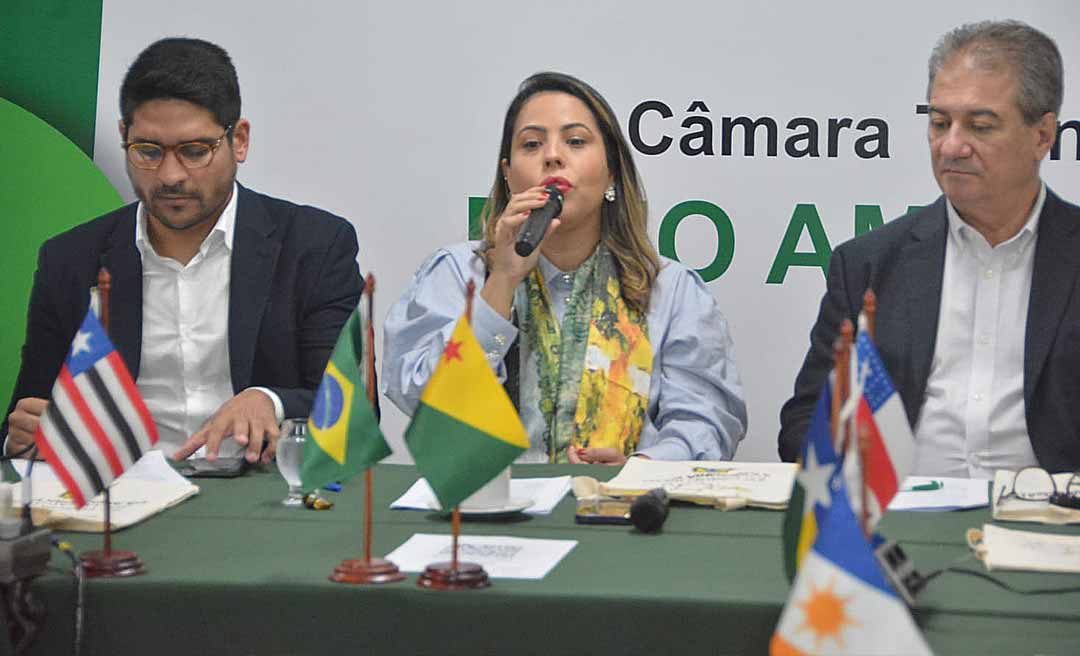 Câmara técnicas debatem desafios na Amazônia durante encontro com governadores