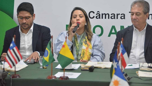 Câmara técnicas debatem desafios na Amazônia durante encontro com governadores