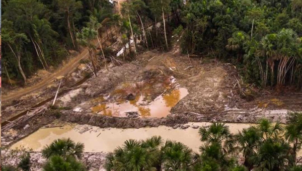 Fundo Amazônia aprova R$ 98 milhões para combate ao desmatamento no Estado do Acre