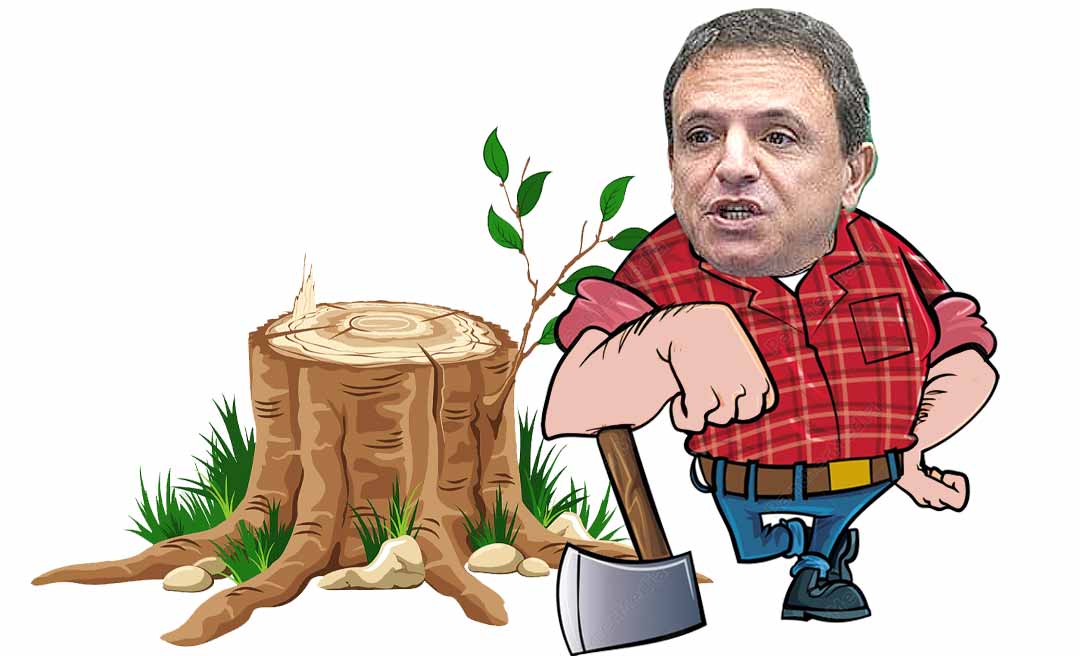 Márcio Bittar é um dos cavaleiros do apocalipse climático no Congresso, diz revista