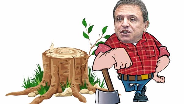 Márcio Bittar é um dos cavaleiros do apocalipse climático no Congresso, diz revista