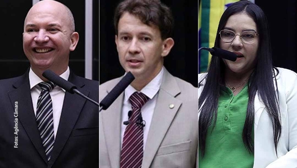 Maioria dos deputados federais do Acre vota favorável ao projeto que cria restrições contra invasores de terras e prédios públicos