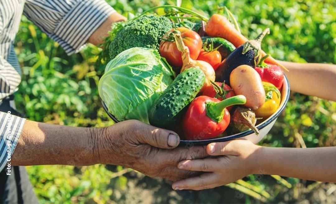 Crédito para a Agricultura Familiar e o Agronegócio atinge a casa de R$ 270 milhões nos primeiros 4 meses deste ano