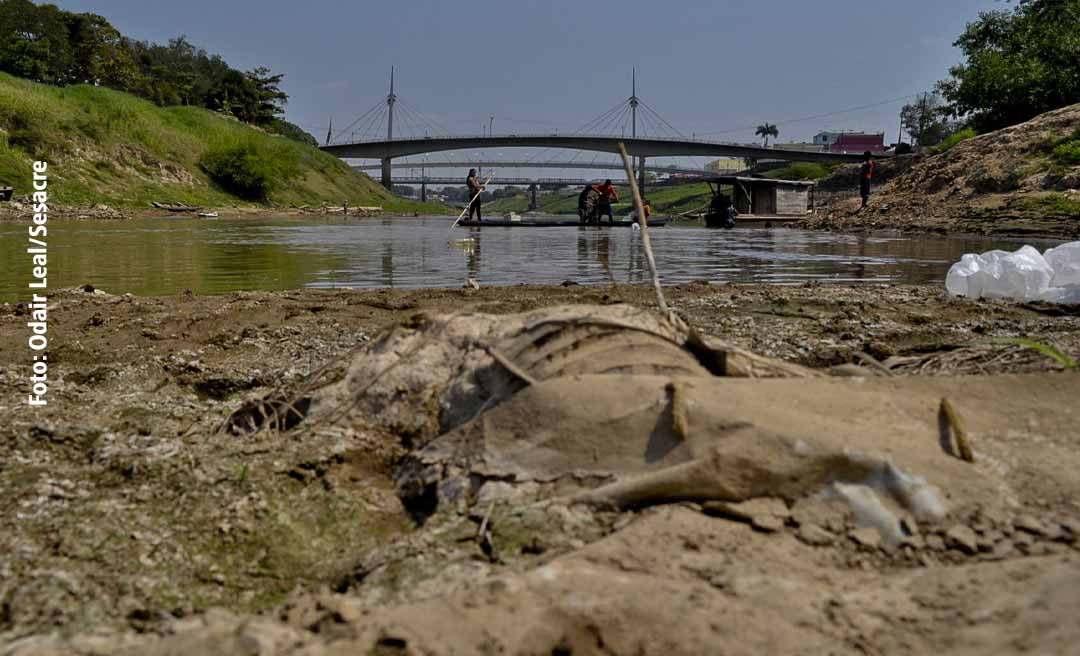 Seca preocupante: Rio Acre já tem sete pontos de monitoramento na Capital, alerta Sema