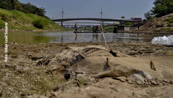 Seca preocupante: Rio Acre já tem sete pontos de monitoramento na Capital, alerta Sema