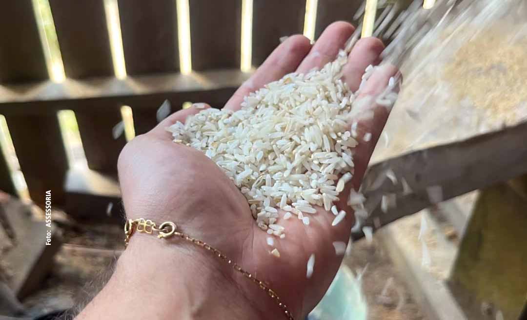 Agricultura familiar: Prefeitura de Brasileia leva mais uma beneficiadora de arroz para os agricultores do município