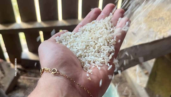 Agricultura familiar: Prefeitura de Brasileia leva mais uma beneficiadora de arroz para os agricultores do município