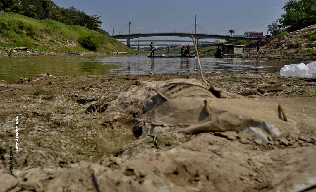 Tendência de estiagem pode aumentar prejuízo de R$ 1,6 bilhão no Acre com desastres naturais