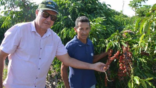 Vereador Francisco Piaba visita produção de café no Projeto Oriente: "Temos que valorizar o que é produzido no Acre"