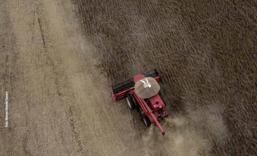 Exportações históricas, geração de empregos em alta e produção agrícola recorde: a boa fase da economia acreana