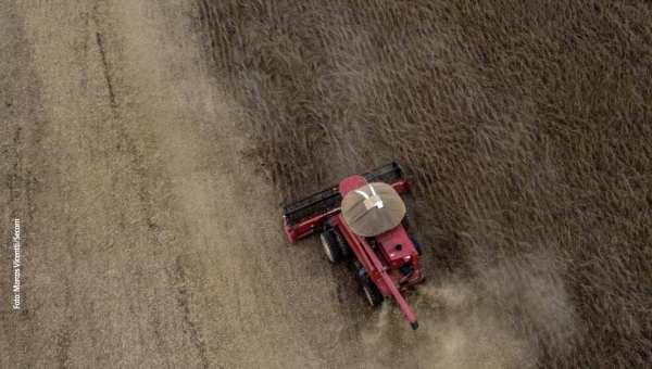 Exportações históricas, geração de empregos em alta e produção agrícola recorde: a boa fase da economia acreana