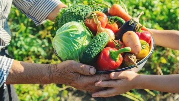 Agronegócio no Acre já recebeu R$ 248,7 milhões de crédito, revela governo federal