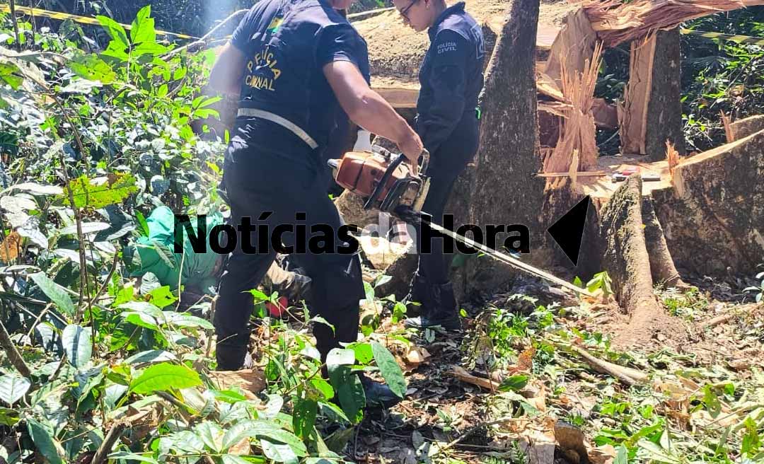 Trabalhador morre em acidente durante derrubada na AC-10; vítima é atingida por galho de árvore