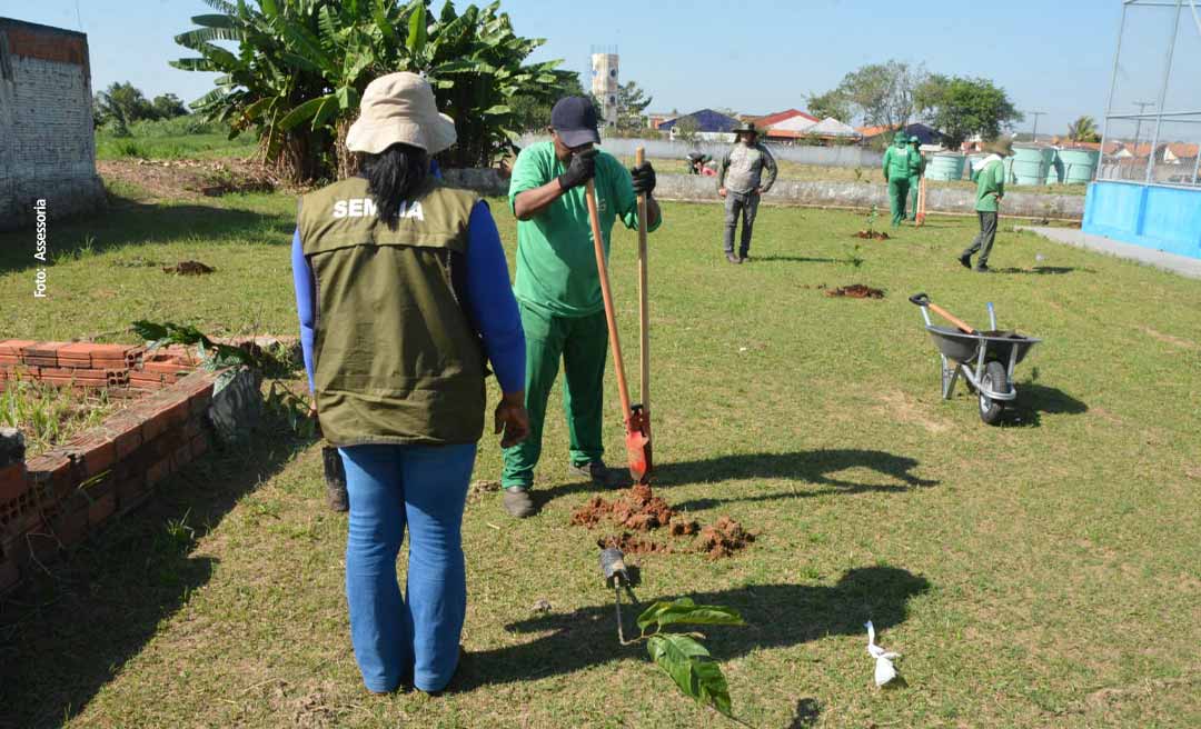 Prefeitura de Rio Branco transforma espaços públicos em bosques frutíferos nos bairros da capital