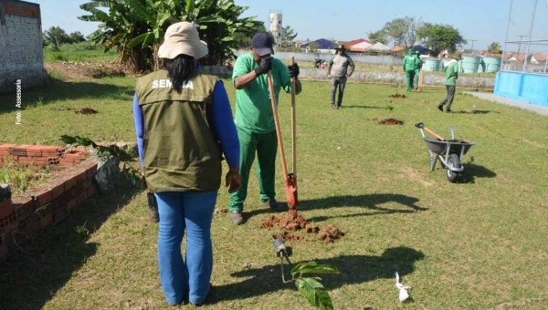 Prefeitura de Rio Branco transforma espaços públicos em bosques frutíferos nos bairros da capital