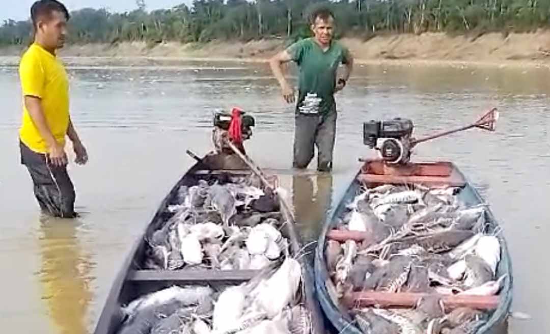 Vídeo mostra grande quantidade de peixes capturados no Envira