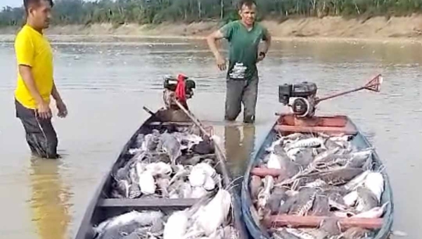 Vídeo mostra grande quantidade de peixes capturados no Envira
