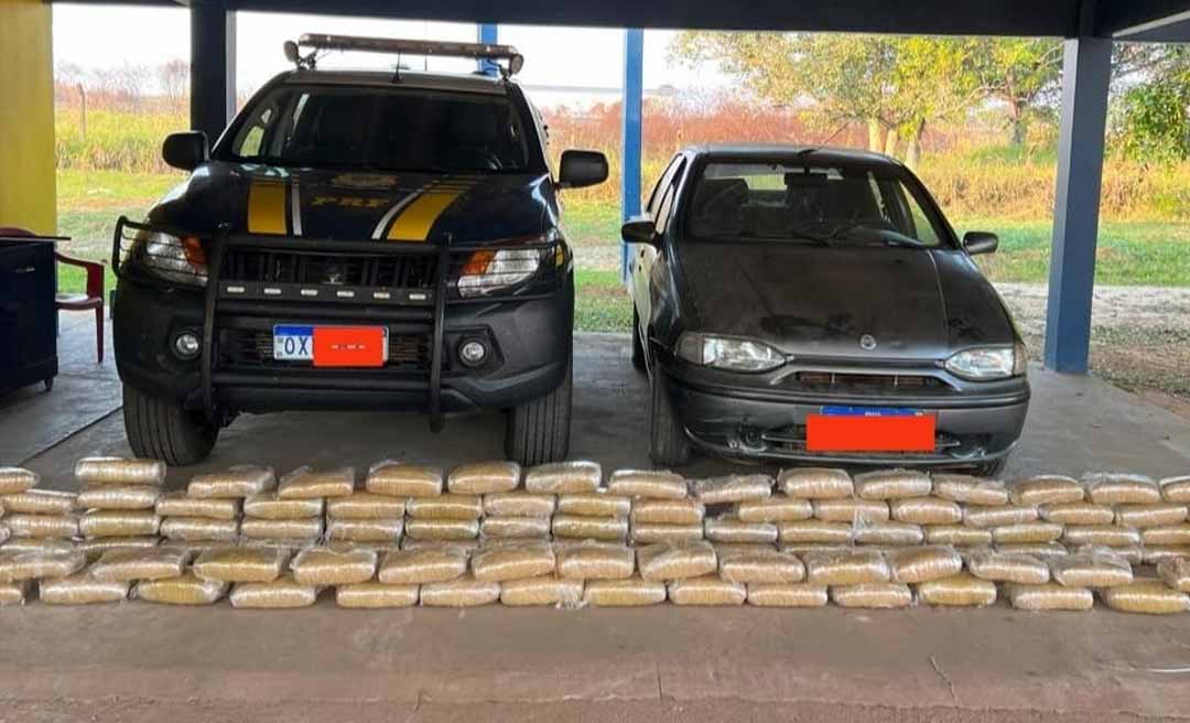 Polícia Rodoviária Federal apreende 110 quilos de Skunk em Rio Branco