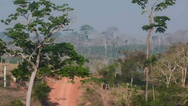 Com 544 focos de incêndio em julho, Acre registra o maior número de queimadas dos últimos oito anos