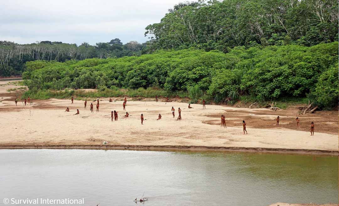 Peru: Em declaração inédita, organizações indígenas emitem ultimato a FSC sobre indígenas isolados Mashco Piro