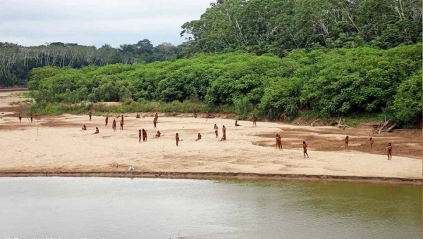 Peru: Em declaração inédita, organizações indígenas emitem ultimato a FSC sobre indígenas isolados Mashco Piro