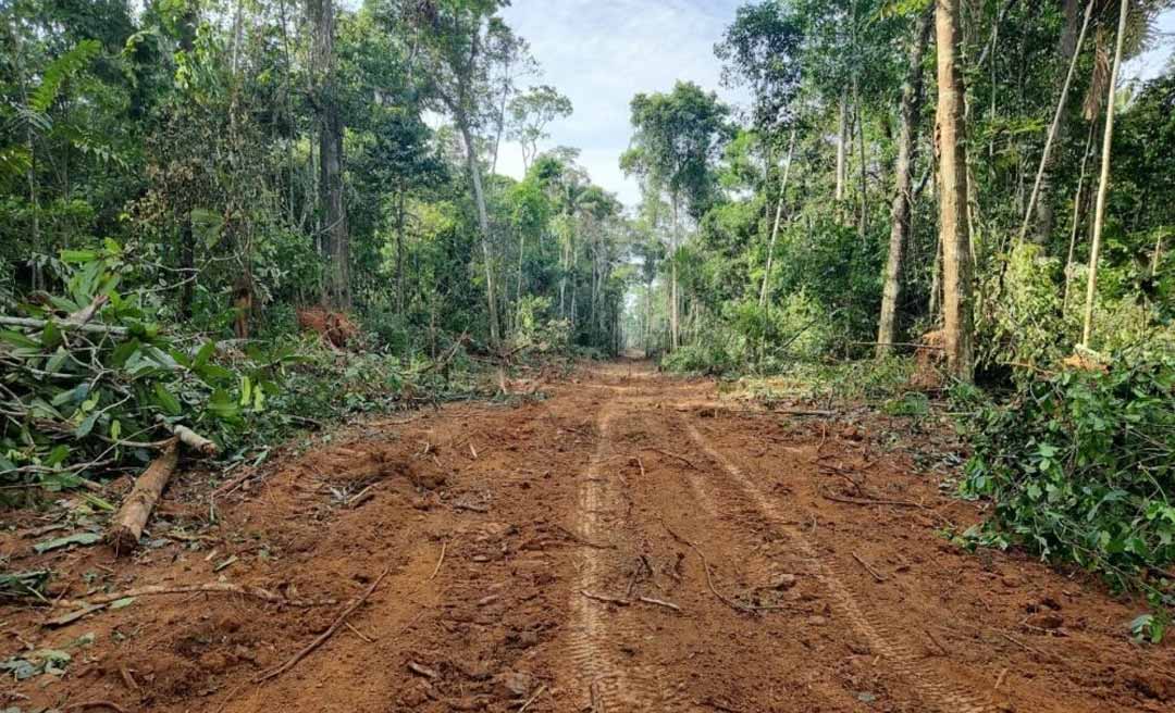 Embargo na ligação entre Porto Walter e Marechal Thaumaturgo agrava situação emergencial de 20 mil pessoas