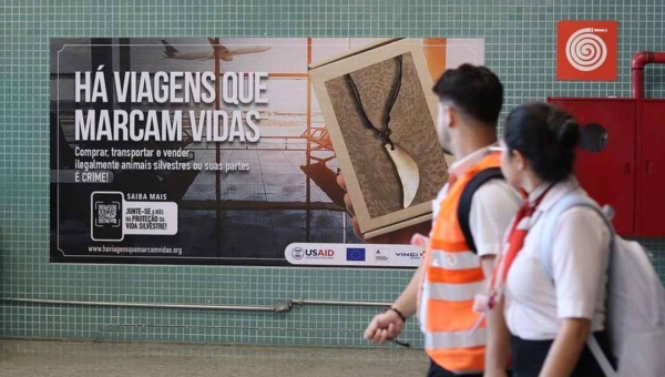 Aeroportos dos municípios de Rio Branco e Cruzeiro do Sul aderem a campanha contra tráfico de animais silvestres