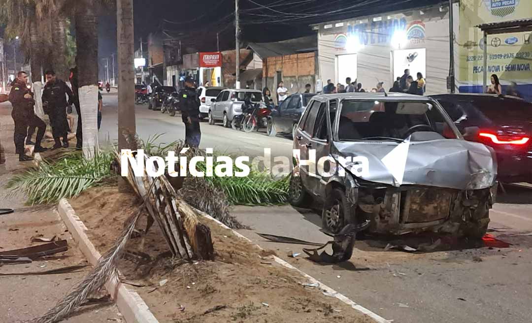 Jovem sem CNH bate em carro estacionado e colide contra palheira na Avenida Amadeu Barbosa