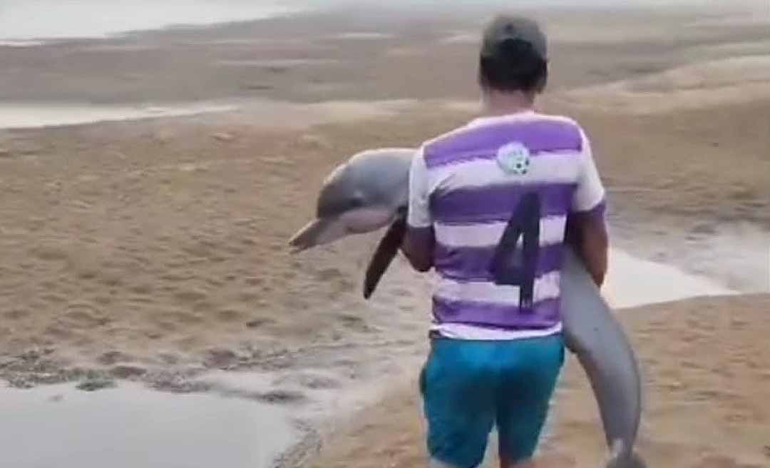 Crise hídrica na Amazônia: Boto é salvo por ribeirinho devido à estiagem severa no Rio Madeira; veja o vídeo