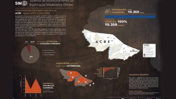 Exploração madeireira no Acre cai 60% em 2023, aponta estudo da rede Simex