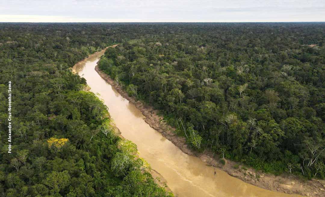 Acre reduziu em 54% o desmatamento de agosto de 2023 a julho deste ano, aponta Inpe